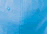 lt college blue
